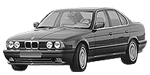 BMW E34 P220D Fault Code